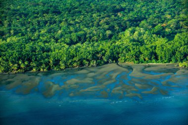 Kosta Rika 'da okyanus kıyısı ve tropik orman ormanı. River in tropic Costa Rica, Corcovado Np. Göller ve nehirler, uçaktan manzara. Orta Amerika 'da yeşil tropik orman ormanı. Sulu ağaçlar.