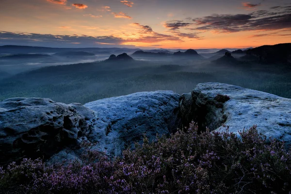 Kleiner Winterberg, schöner Morgenblick über Sandsteinfelsen in ein tiefes Nebeltal in der Sächsischen Schweiz, Landschaft in Deutschland. Nebel und schöne Hintergrundbeleuchtung. Steinhügel Sonnenuntergang. Felslandschaft in e — Stockfoto