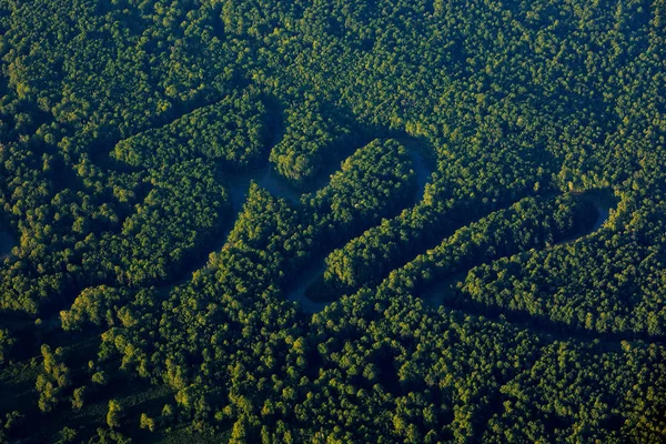Rivier in tropisch Costa Rica, Corcovado Np. Meren en rivieren, uitzicht vanaf het vliegtuig. Groen gras in Midden-Amerika. Bomen met water in het regenseizoen. Foto vanuit de lucht. — Stockfoto