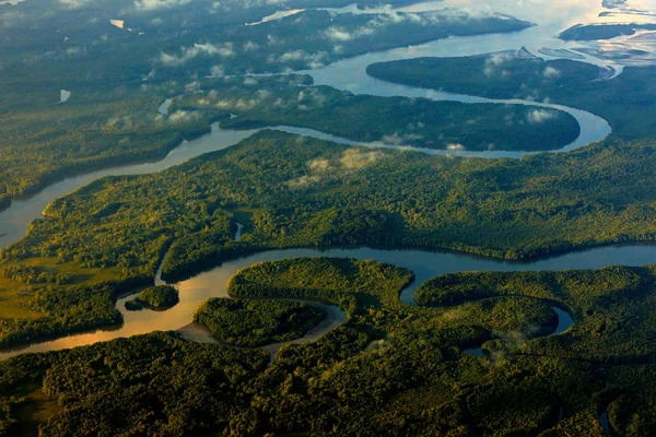 River in tropic Costa Rica, Corcovado NP. Lakes and rivers, view from airplane. Green grass in Central America. Trees with water in rainy season. Photo from air. — 스톡 사진