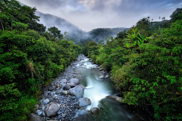 River with big stones and trees, tropic mountain forest during rain, Colombia landscape. Tropic forest in South America. — Stock Photo, Image