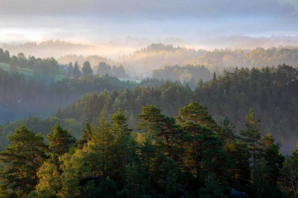 Wzgórza z jesiennymi drzewami we mgle. Mglisty poranek w jesiennej dolinie Czeskiego Parku Szwajcarii, krajobraz Czech, Park Narodowy Ceske Svycarsko. Poranny zachód słońca w zimnym lesie. — Zdjęcie stockowe