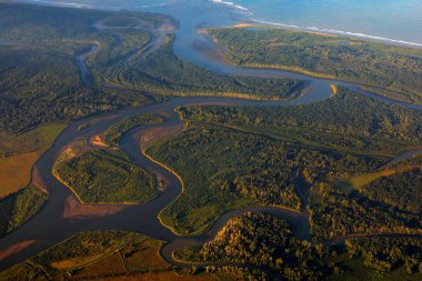River in tropic Costa Rica, Corcovado Np. Göller ve nehirler, uçaktan manzara. Orta Amerika 'da yeşil çimenler. Yağmur mevsiminde suyu olan ağaçlar. Fotoğraf havadan..