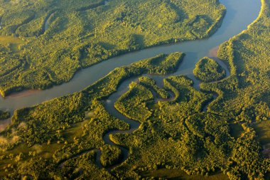 River in tropic Costa Rica, Corcovado Np. Göller ve nehirler, uçaktan manzara. Orta Amerika 'da yeşil çimenler. Yağmur mevsiminde suyu olan ağaçlar. Fotoğraf havadan..