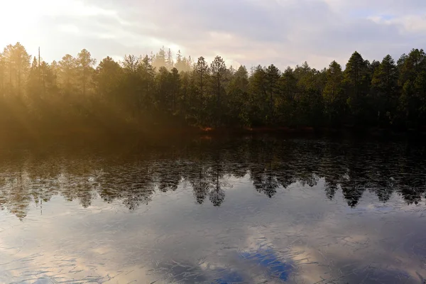 Mglisty Poranek Nad Jeziorem Wschód Słońca Lesie Sumava Czechy Świerk — Zdjęcie stockowe
