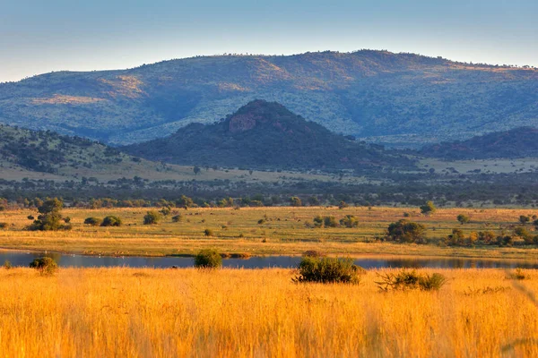 南非Pilanesberg Np的风景 金黄色的草甸 背后有湖水 背景是山 在非洲旅行 野外的夏日 — 图库照片