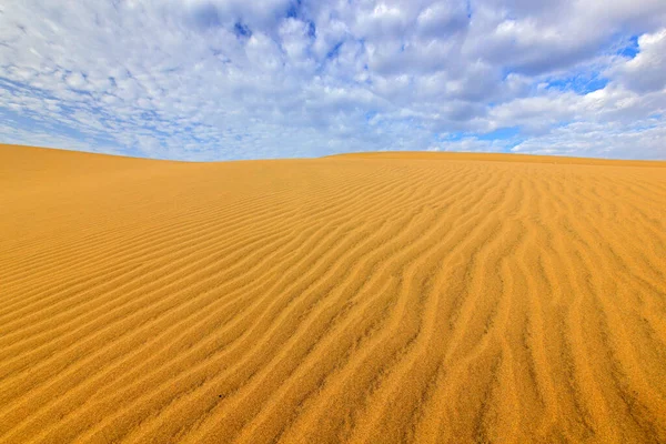 Summer Dry Landscape Africa Black Pebble Stones Sandy Waves Wild — Stock Photo, Image