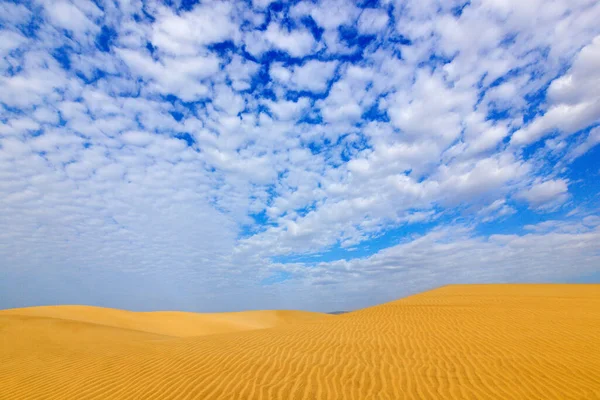 Verão Paisagem Seca África Pedras Pretas Ondas Areia Natureza Selvagem — Fotografia de Stock