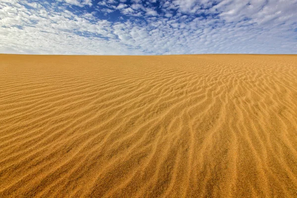 Summer Dry Landscape Africa Black Pebble Stones Sandy Waves Wild — Stock Photo, Image