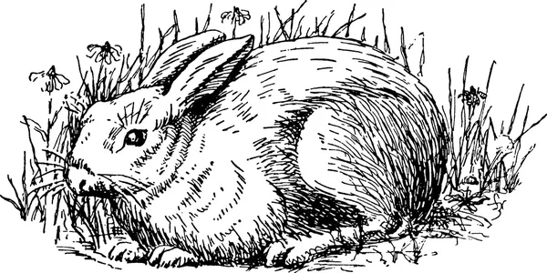 Retro obrázek králíka — Stock fotografie