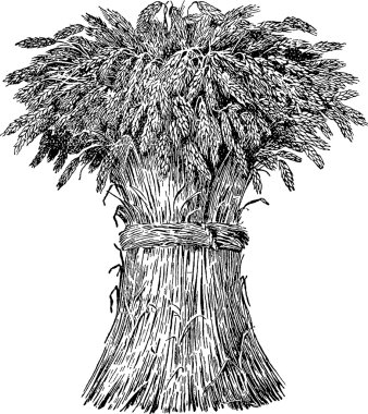 Vintage resim demeti