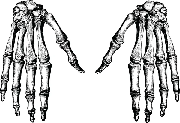 Kości ręki rocznika obrazy — Zdjęcie stockowe