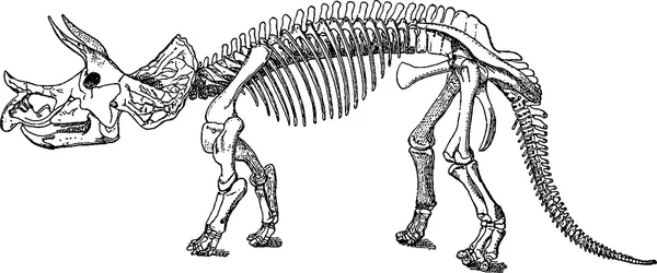 Vintage ábra a triceratops csontváza — Stock Fotó