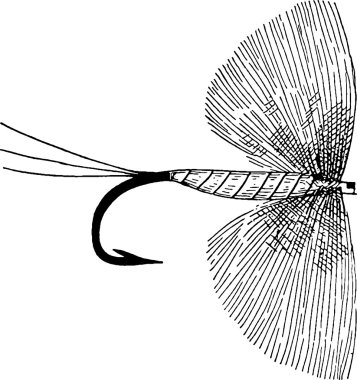 Vintage görüntü balıkçılık kanca