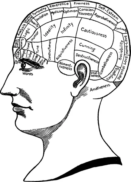 빈티지 이미지 phrenology — 스톡 사진