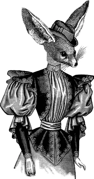Vintage image victorian mademoiselle fennec fox — Stock Photo, Image