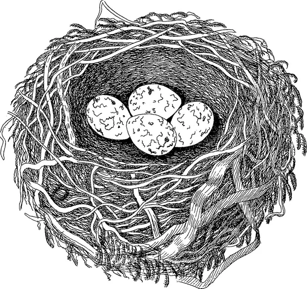 复古形象巢 — 图库照片