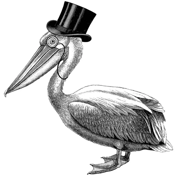 Урожай зображення пелікан, капелюх — стокове фото