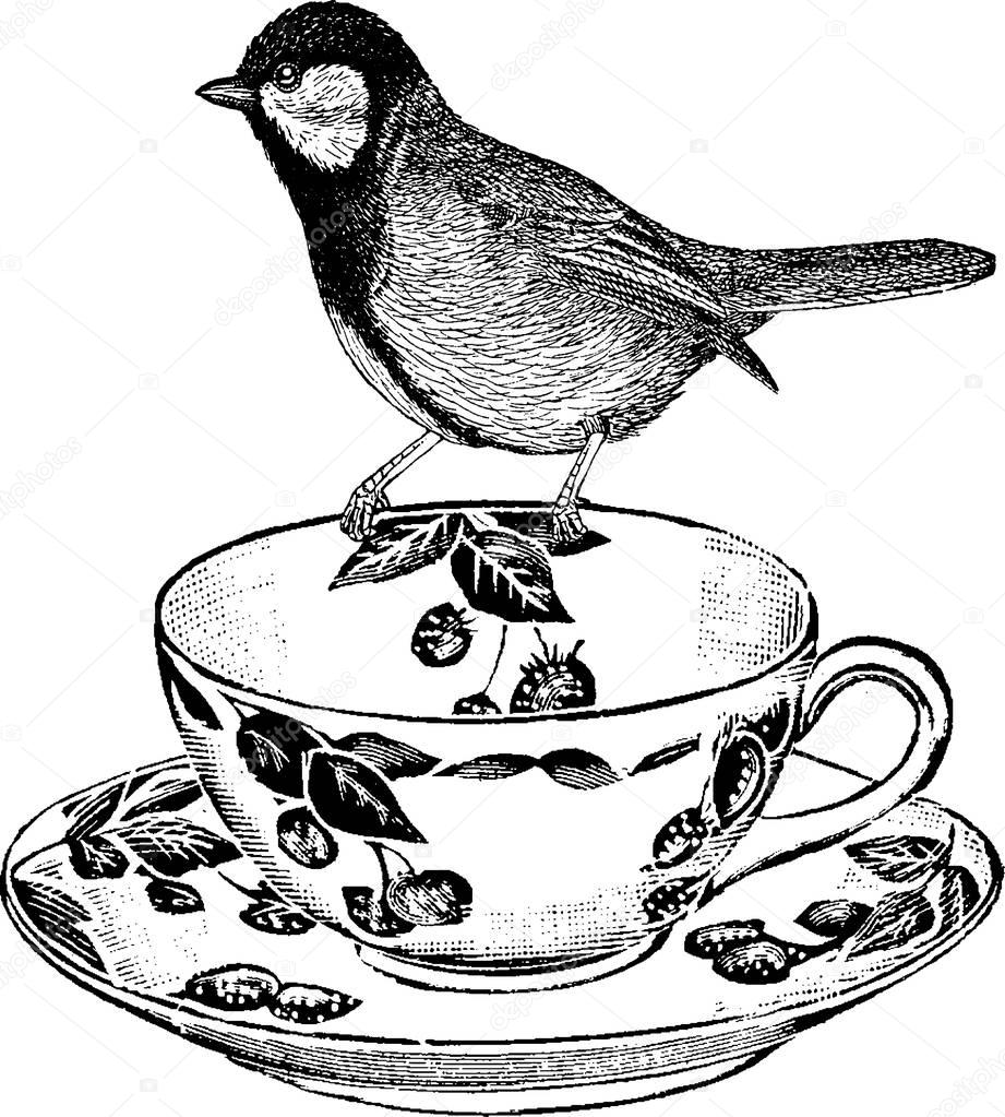 Vintage image bird on teacup