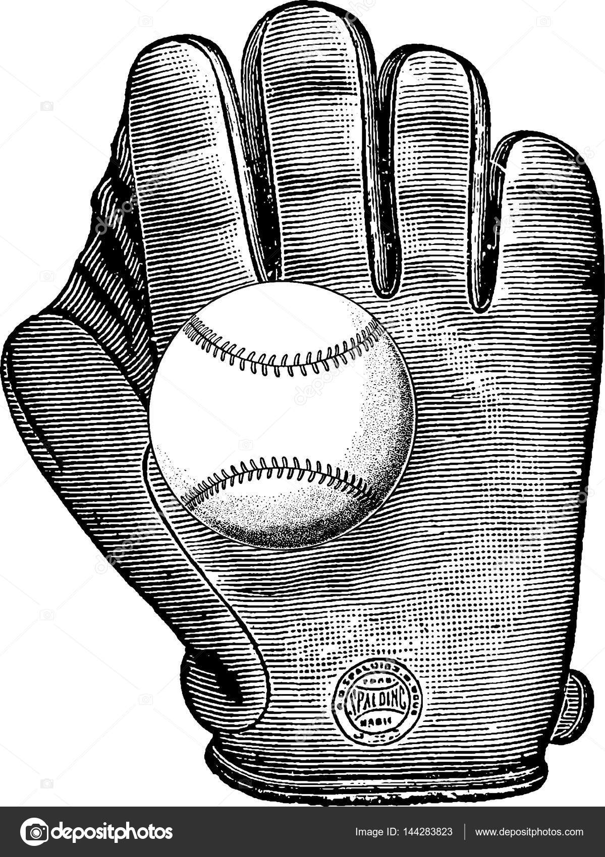 Glove old baseball Are old