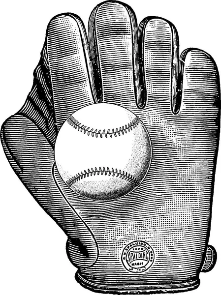 baseball glove and ball drawing