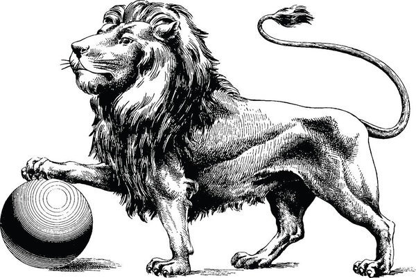Vintage image lion