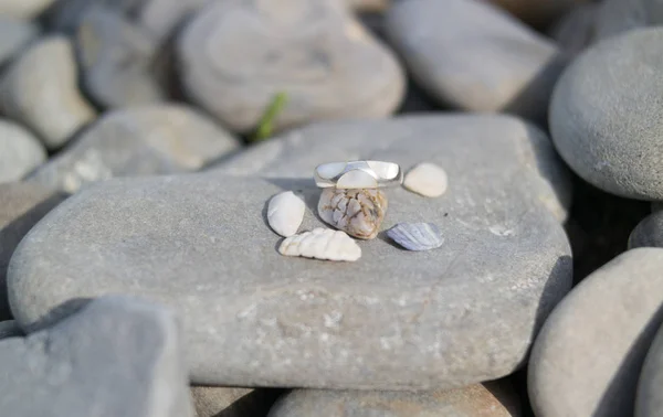 Een ring van kiezelstenen en kleine schelp luiken op een grote steen — Stockfoto