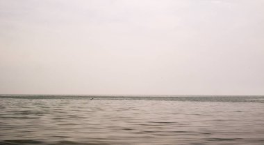 Mesafe denizde balık atladı