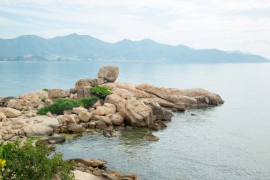 Deniz kıyısı buzlu