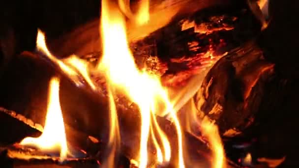 Het vuur en het hout — Stockvideo