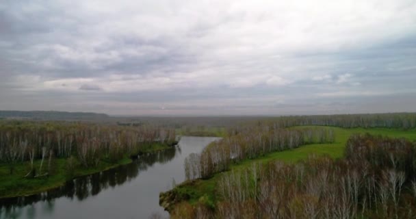 Осенний березовый лес и вид на реку с воздуха — стоковое видео