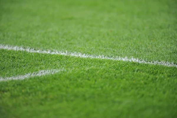 Bir futbol sahası üzerinde beyaz çizgi.