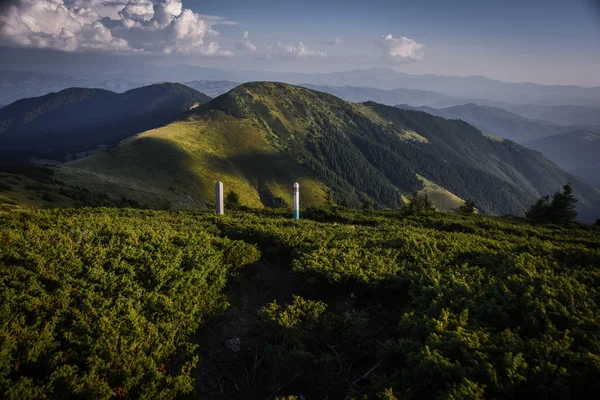 Ukrayna ve Romanya Devlet sınır işareti