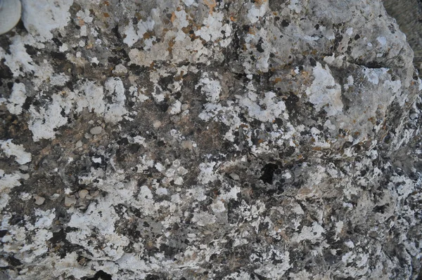 Taş doku ve arka plan gri
