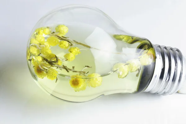 Glühbirne Mit Blumen Inneren — Stockfoto