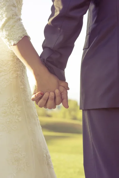 아름 다운 웨딩 커플, 신부와 신랑 녹색 배경 위에 밝은 미래를 보고 손을 잡고 — 스톡 사진