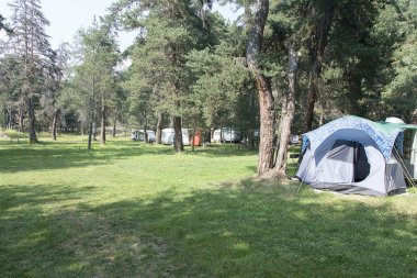 Ormanda kamp çadırı