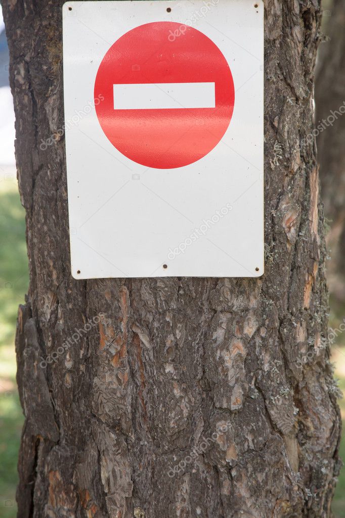 no hay señal de entrada parada en el árbol 2023