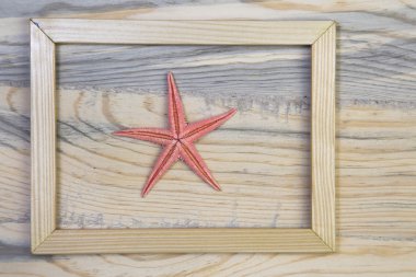 Tatil konsepti için mavi ahşap arka planda turuncu yıldızlı balıklardan oluşan yaz tahtası 