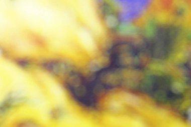 Yeşil yaprağın bahçedeki bulanık yeşil arkaplan üzerindeki doğa görüntüsünü arka plan olarak doğal yeşil bitkiler manzarası, ekoloji, taze duvar kağıdı konseptini kullanarak fotokopi alanı ile birlikte sabah güneşi altında kapat.