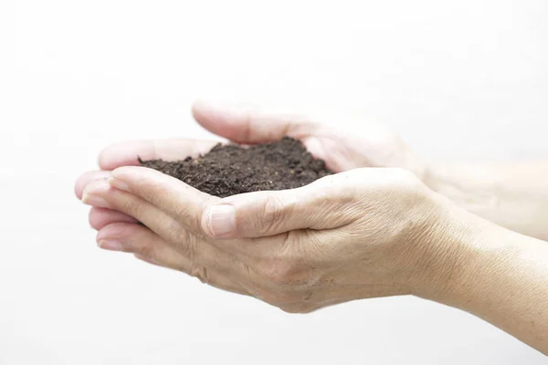 手持ちの土壌と小さな植物 — ストック写真