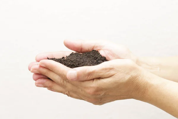 手持ちの土壌と小さな植物 — ストック写真