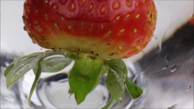 Taze çilek sualtı kabarcıkları ile 