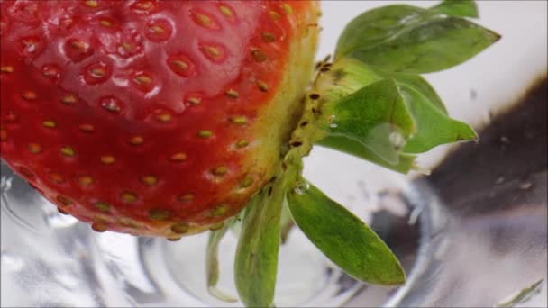 Erdbeere im Wasser — Stockvideo