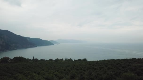 Baldacchino Alberi Verdi Robusta Faccia Mare Nero Con Mare Background — Video Stock