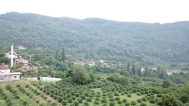 Türkiye 'nin Karadeniz bölgesinde bir dağ köyü. Ormanda bir köy