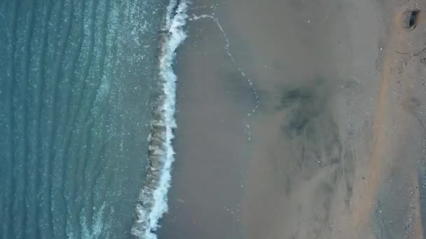 Vue aérienne des oiseaux qui regardent les vagues de la mer s'écraser. Vert et bleu vue sur la mer drone, images de drone, 4k 