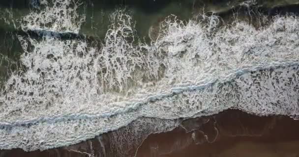 Pájaros Aéreos Vista Los Ojos Mirando Hacia Abajo Las Olas — Vídeos de Stock