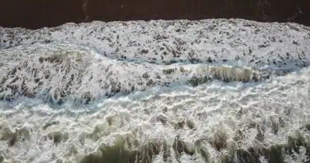 Vue Aérienne Des Oiseaux Qui Regardent Les Vagues Mer Écraser — Video