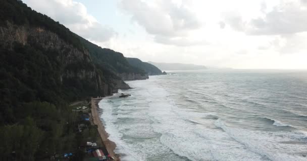 Dossel Árvores Verdes Rosto Mar Negro Robusto Com Mar Fundo — Vídeo de Stock